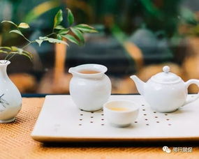 弘泰金融外包服務面試會 把握機遇，在金融外包服務領域揚帆起航